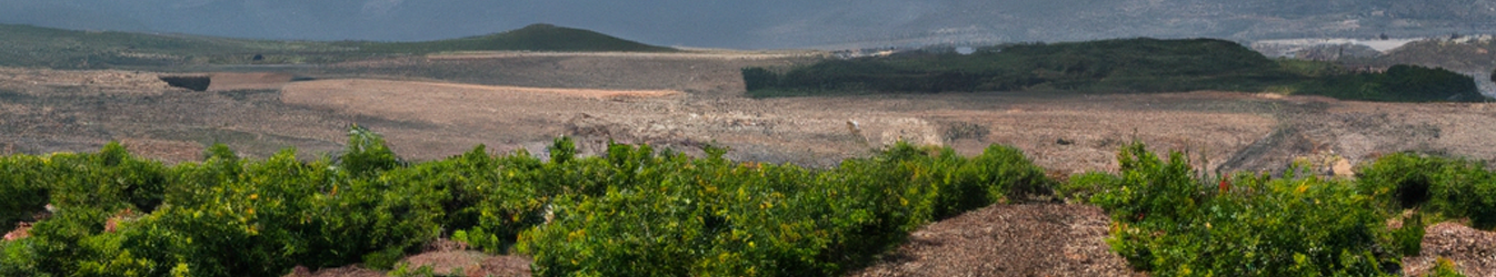 Jumilla