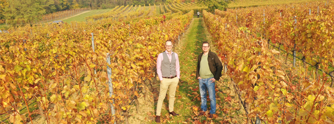 Helden der Weinberge