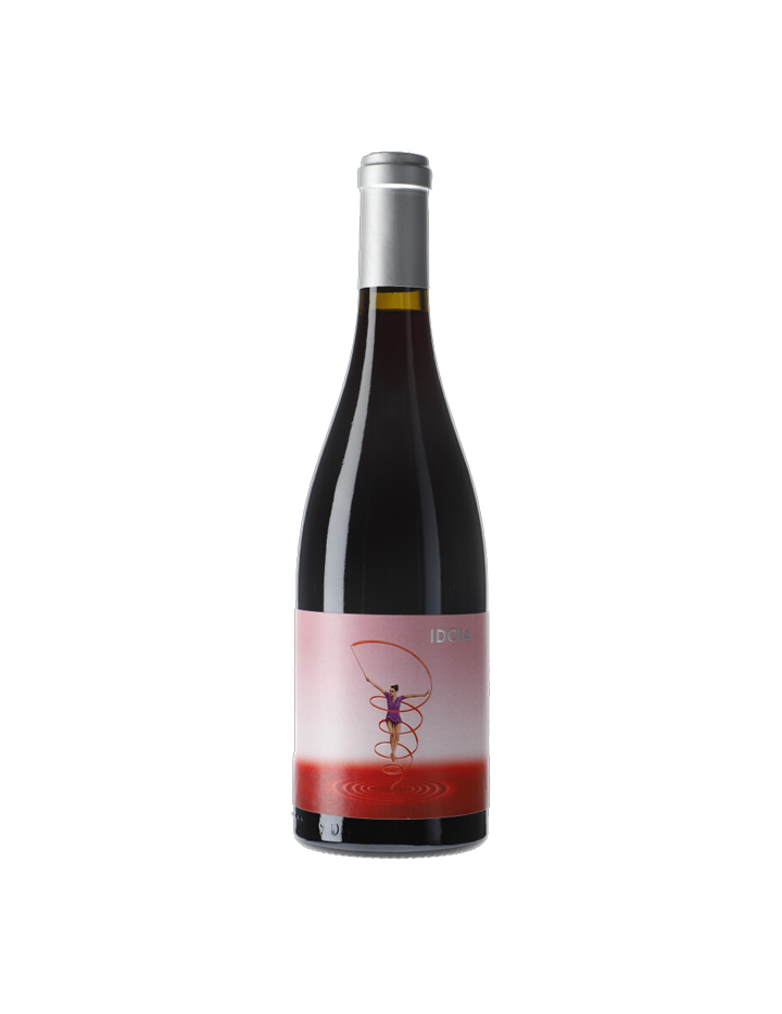 Ca N'Estruc Idoia Garnacha 2018