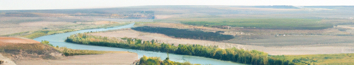 Ribera del Duero
