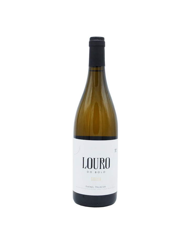 Rafael Palacio Louro