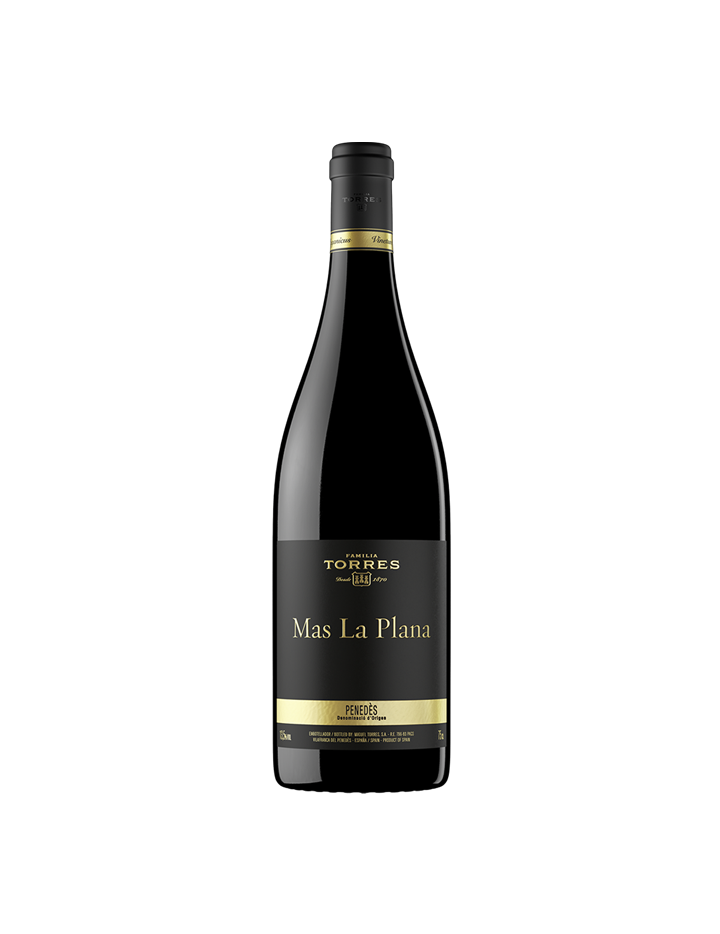 Torres Mas la Plana 2019