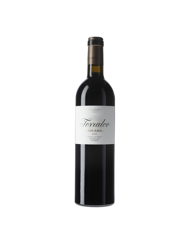 Vizcarra Torralvo 2020