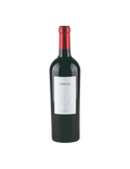 Vetus Toro 2019